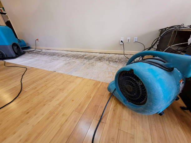 Professional Water Extraction technician working in Fords, NJ